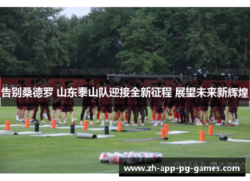 告别桑德罗 山东泰山队迎接全新征程 展望未来新辉煌