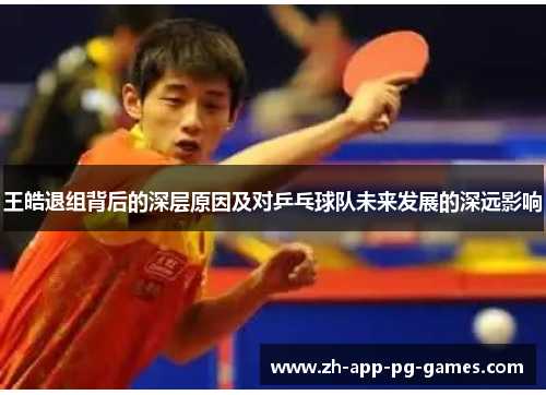 王皓退组背后的深层原因及对乒乓球队未来发展的深远影响 王皓退组背后的深层原因及对乒乓球队未来发展的深远影响
