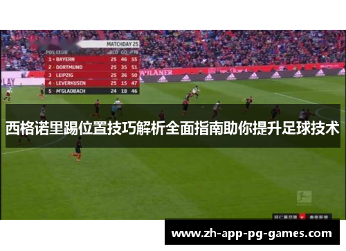 西格诺里踢位置技巧解析全面指南助你提升足球技术