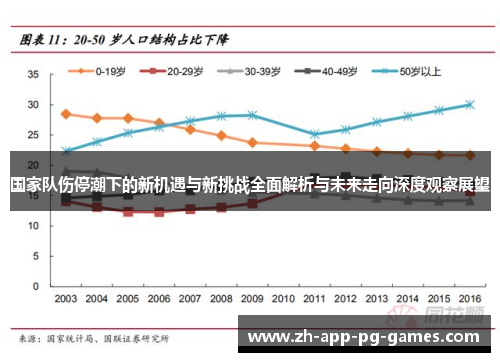 国家队伤停潮下的新机遇与新挑战全面解析与未来走向深度观察展望