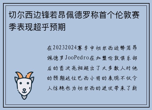 切尔西边锋若昂佩德罗称首个伦敦赛季表现超乎预期